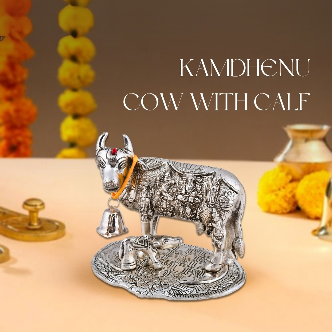 Kamdhenu cow with calf